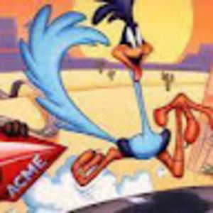 Meet your Posher, Vincent